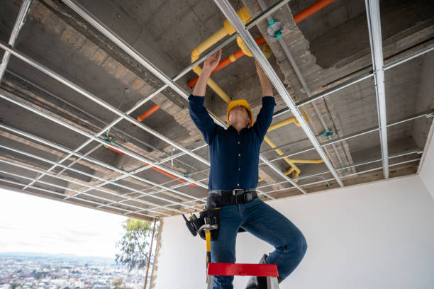 Best Best Plumbers Near Me  in Denison, IA