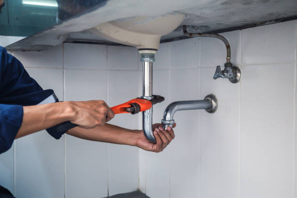 Best 24-Hour Plumber Near Me  in Denison, IA