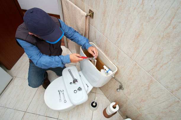 Best Clogged Drain Plumber  in Denison, IA