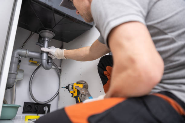 Best Toilet Repair Services  in Denison, IA